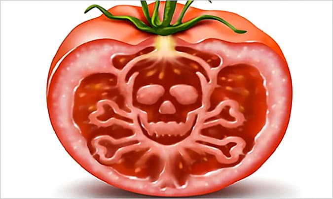 Imagen de la columna: Infecciones e intoxicaciones alimentarias