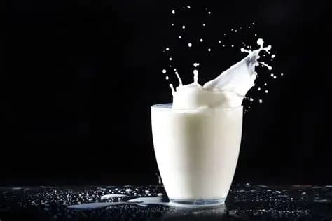 La leche, el alimento