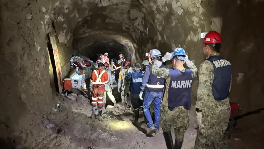 Imagen de la noticia