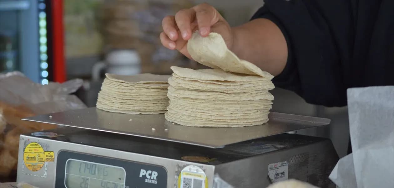 Niegan alza en precio  de la tortilla la Sader y Profeco