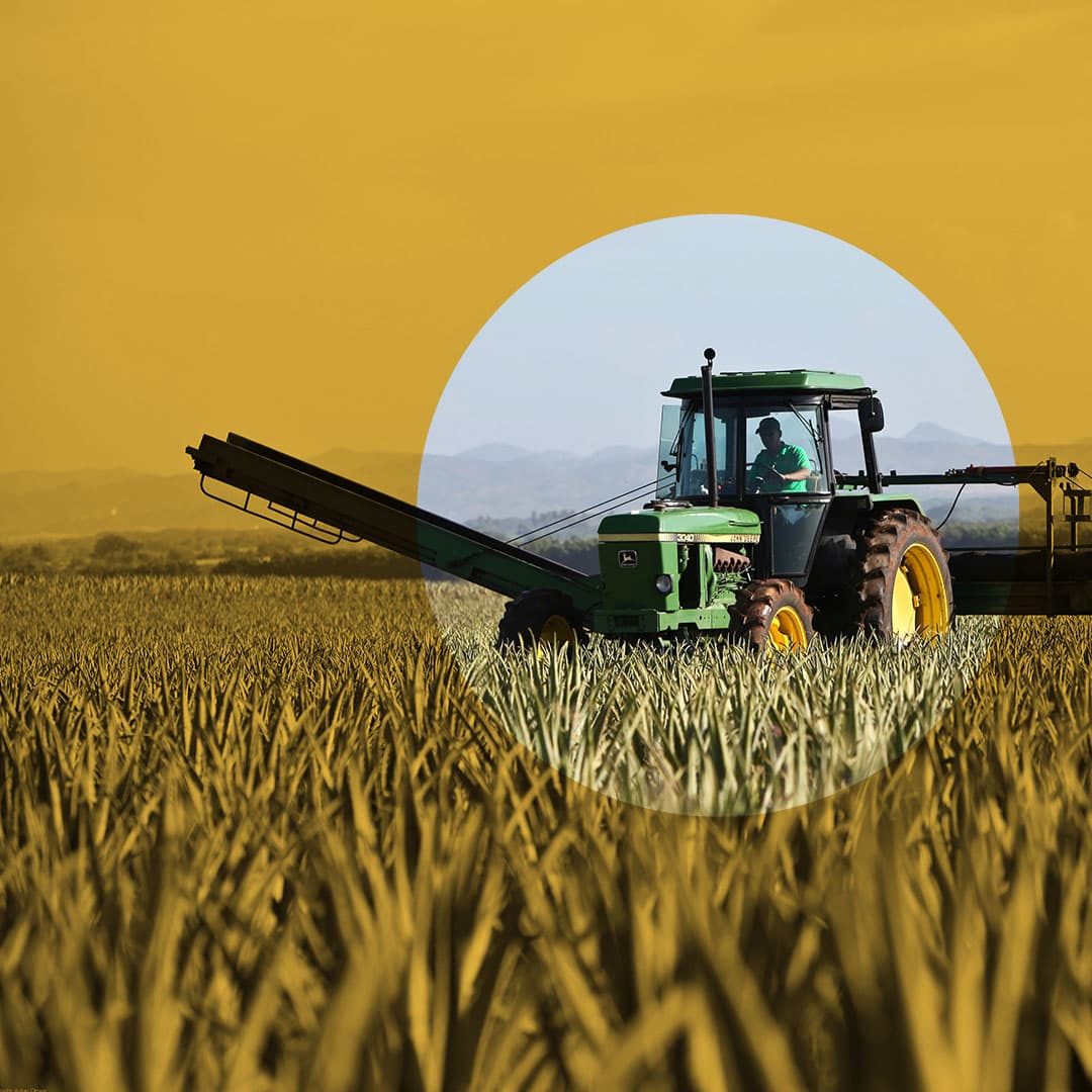 Imagen de la columna: El futuro incierto de la agricultura