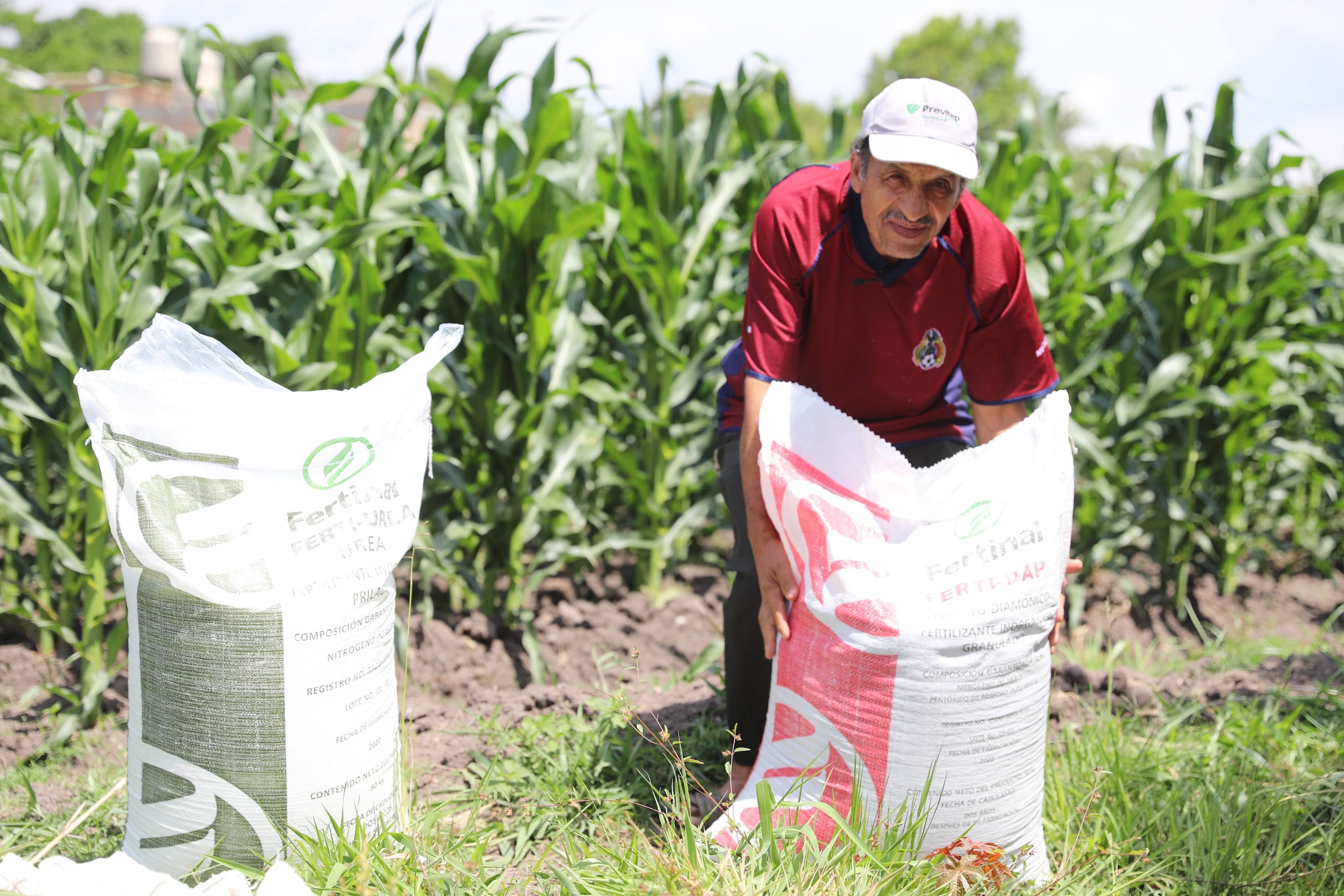 Necesaria alta prioridad al campo agrícola