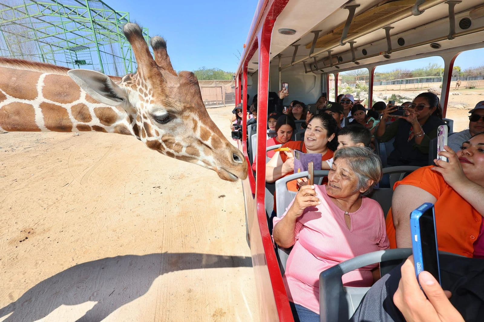 Imagen de la noticia